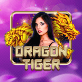 Dragon Tiger jili333 live casino