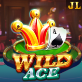 Wild Ace jili333 slot
